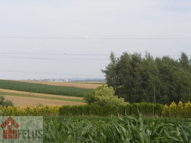 Działka rolna Czułówek