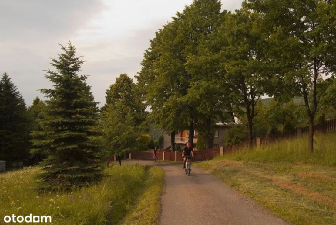 dom wolnostojący, 12 pokoi Zawoja. Zdjęcie 4