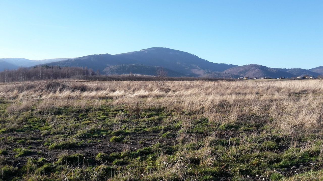 Działka budowlana Lipowa. Zdjęcie 8