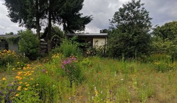 Działka rod Trzcianka