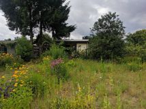 Działka rod Trzcianka. Zdjęcie 1