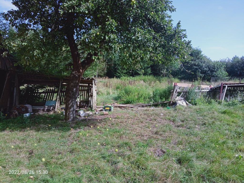 bliźniak Kozia Wola. Zdjęcie 5