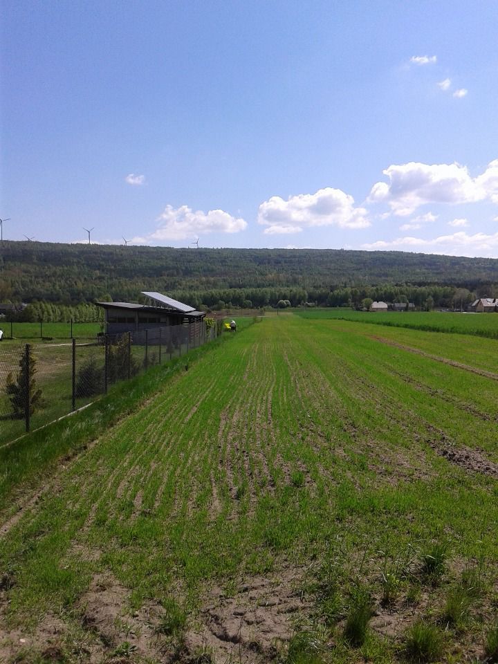 Działka budowlana Czyżów, ul. Morska. Zdjęcie 7