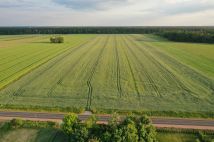 Działka budowlana Gromin. Zdjęcie 2