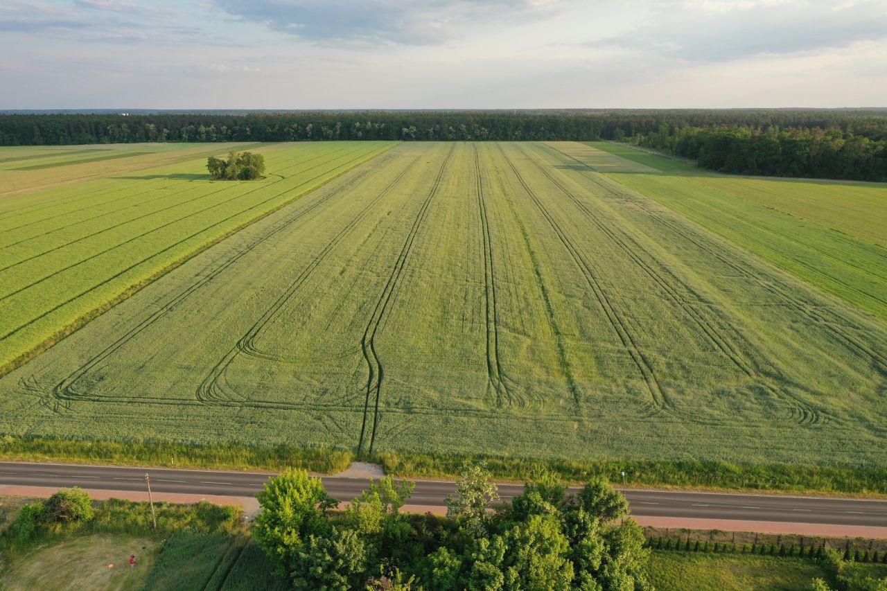 Działka budowlana Gromin. Zdjęcie 3