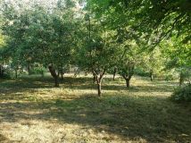 Działka budowlana Trojanowice, ul. Wąwozowa. Zdjęcie 4