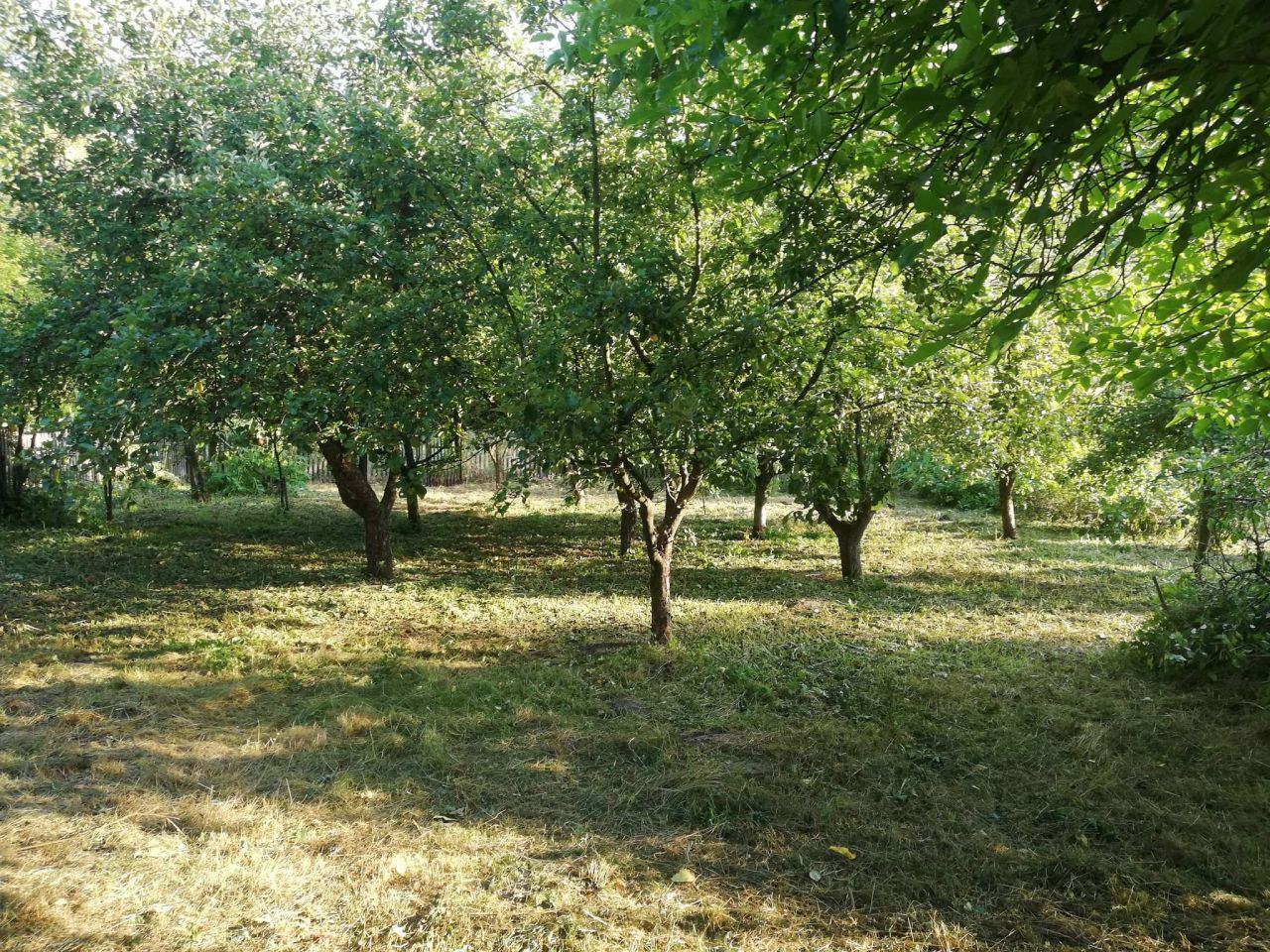 Działka budowlana Trojanowice, ul. Wąwozowa. Zdjęcie 10