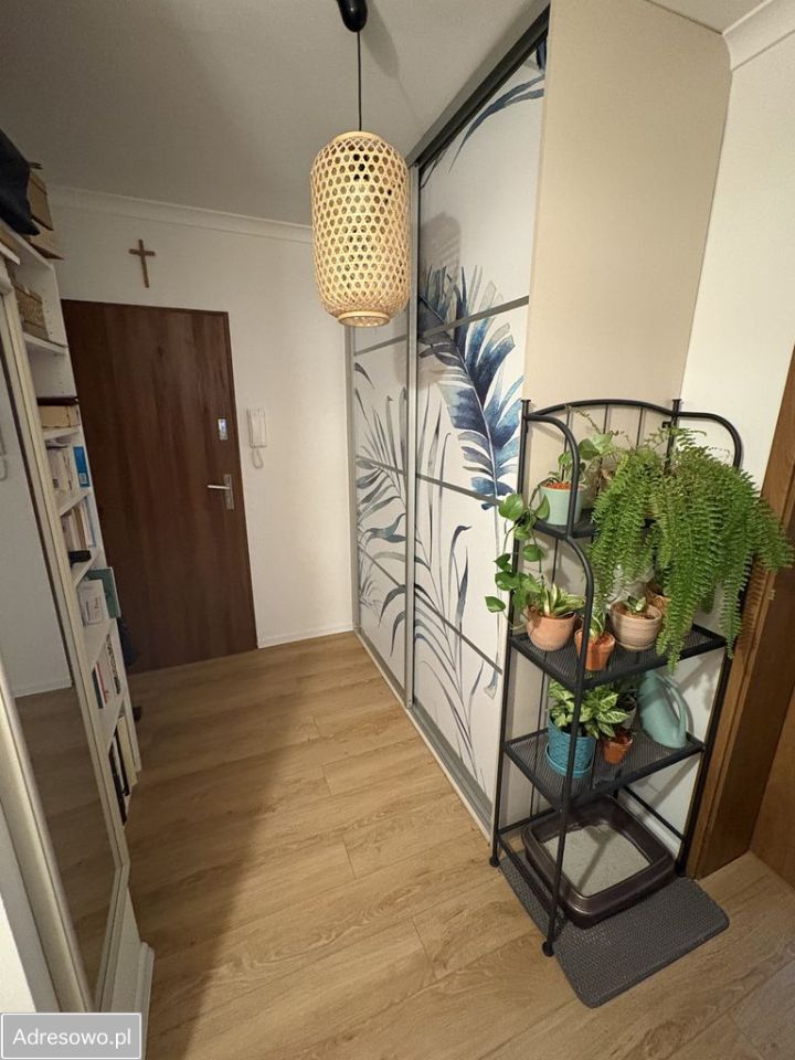 Mieszkanie 3-pokojowe Zielona Góra Zacisze, ul. Agrestowa. Zdjęcie 17