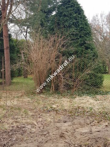 Działka budowlana Granica. Zdjęcie 3