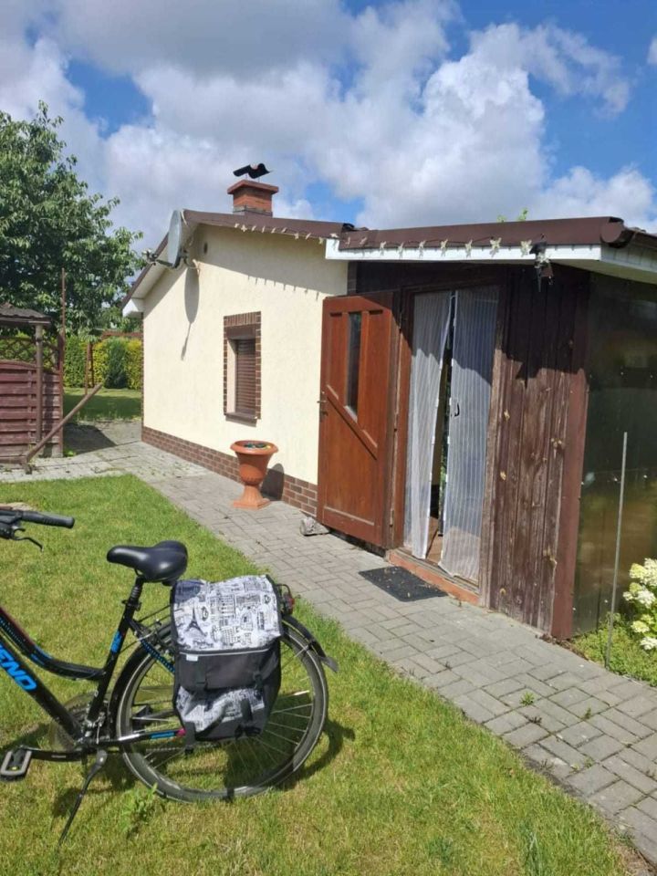 Działka rod Złotów. Zdjęcie 4