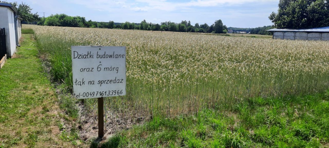 Działka rolno-budowlana Dylaki Michalanka, ulica Ozimska. Zdjęcie 5