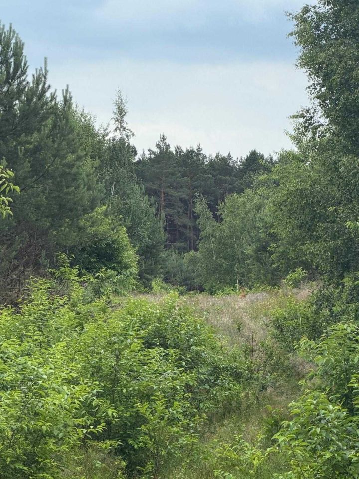 Działka budowlana Obrowo, ul. Bursztynowa. Zdjęcie 3