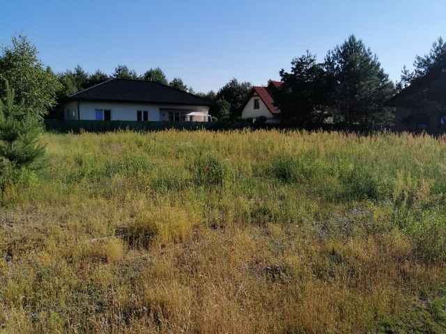 Działka budowlana Nowy Prażmów, ul. Leśna. Zdjęcie 1