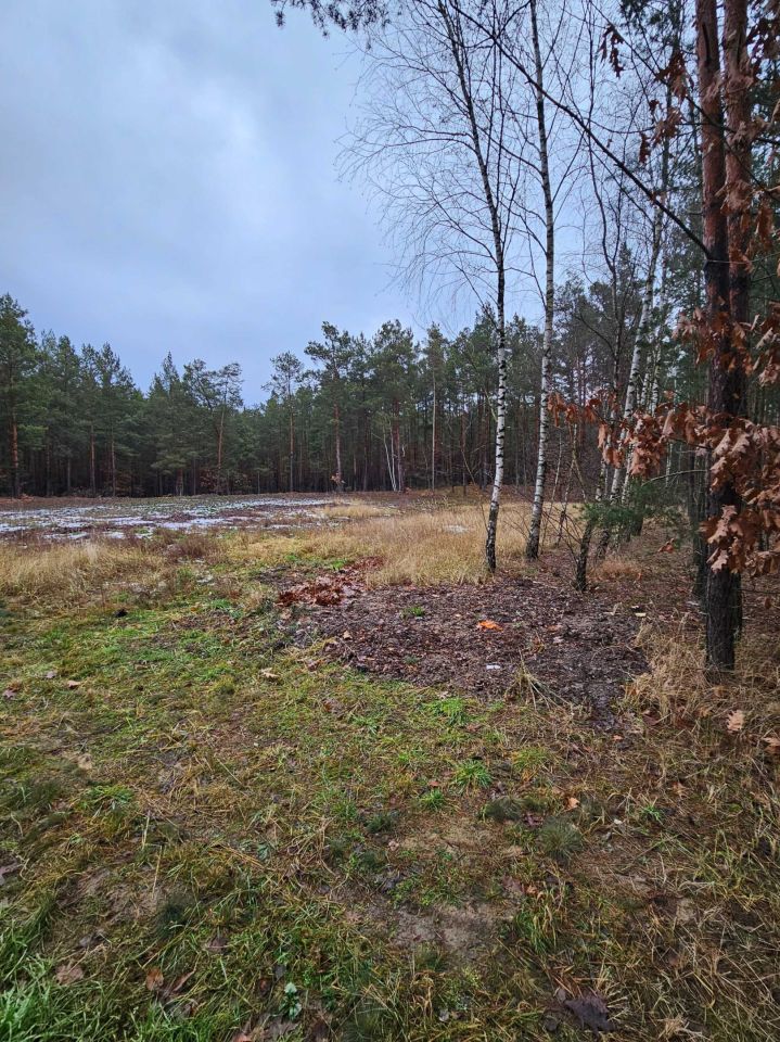 Działka budowlana Natolin. Zdjęcie 4