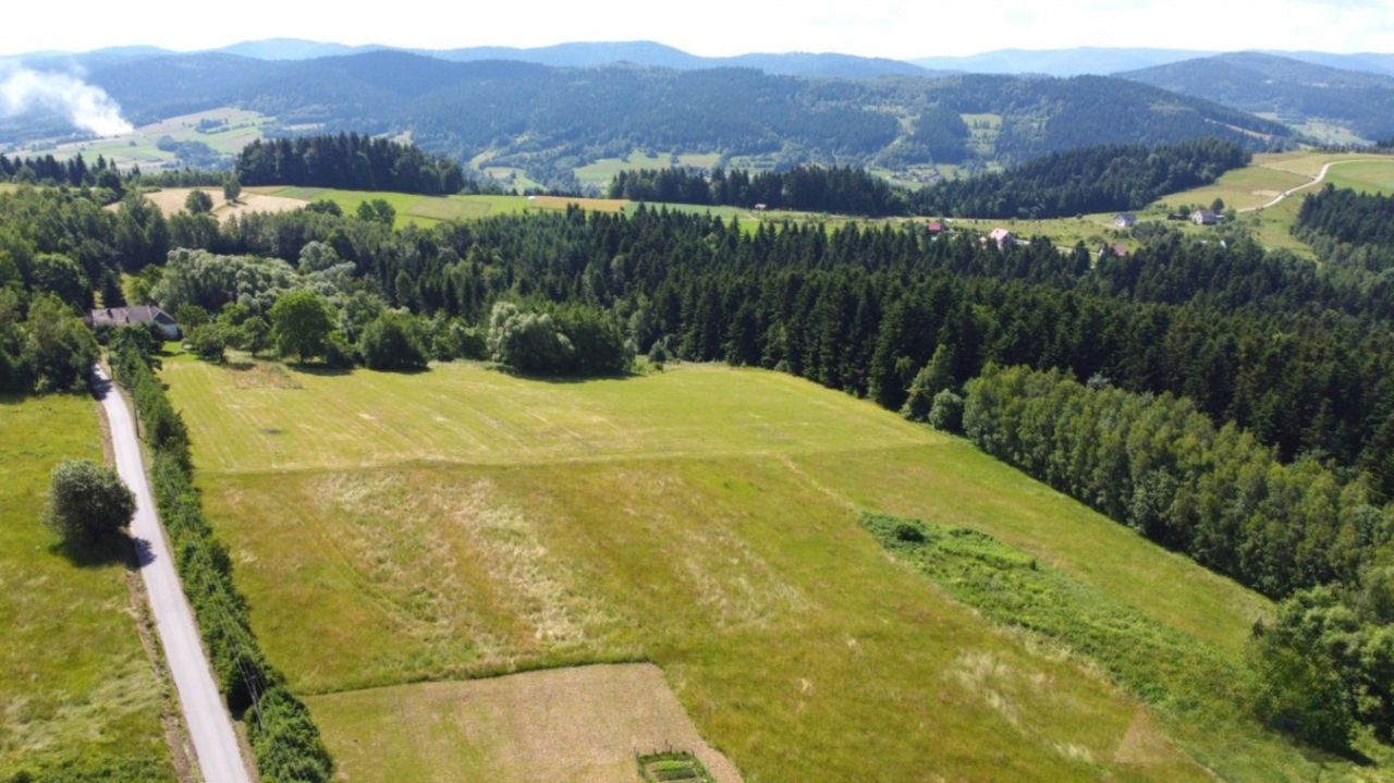 Działka inwestycyjna Mszalnica. Zdjęcie 7