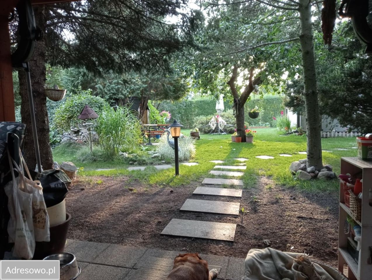 Działka budowlana Dziekanów Leśny. Zdjęcie 4