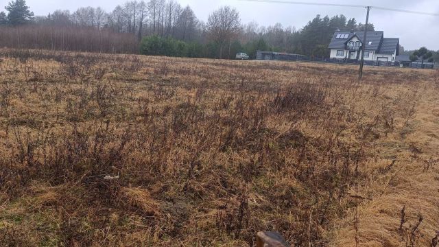 Działka rolna Osowo. Zdjęcie 1