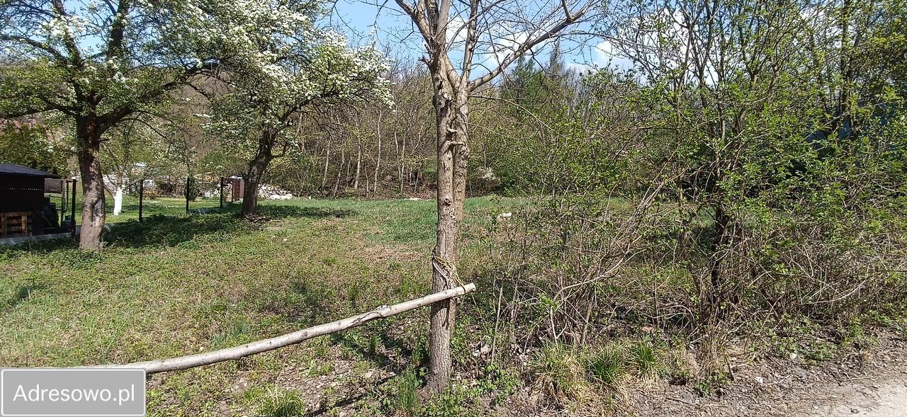 Działka inwestycyjna Kraków Tyniec, ul. Juranda ze Spychowa. Zdjęcie 2