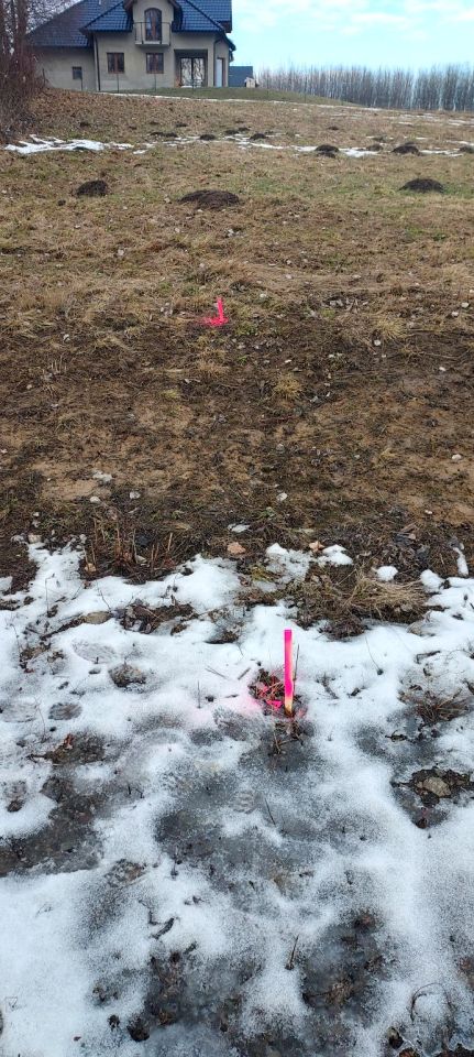 Działka rolno-budowlana Chorągwica. Zdjęcie 8