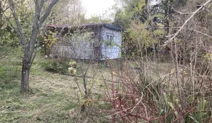 Działka rod Lublin, al. Warszawska