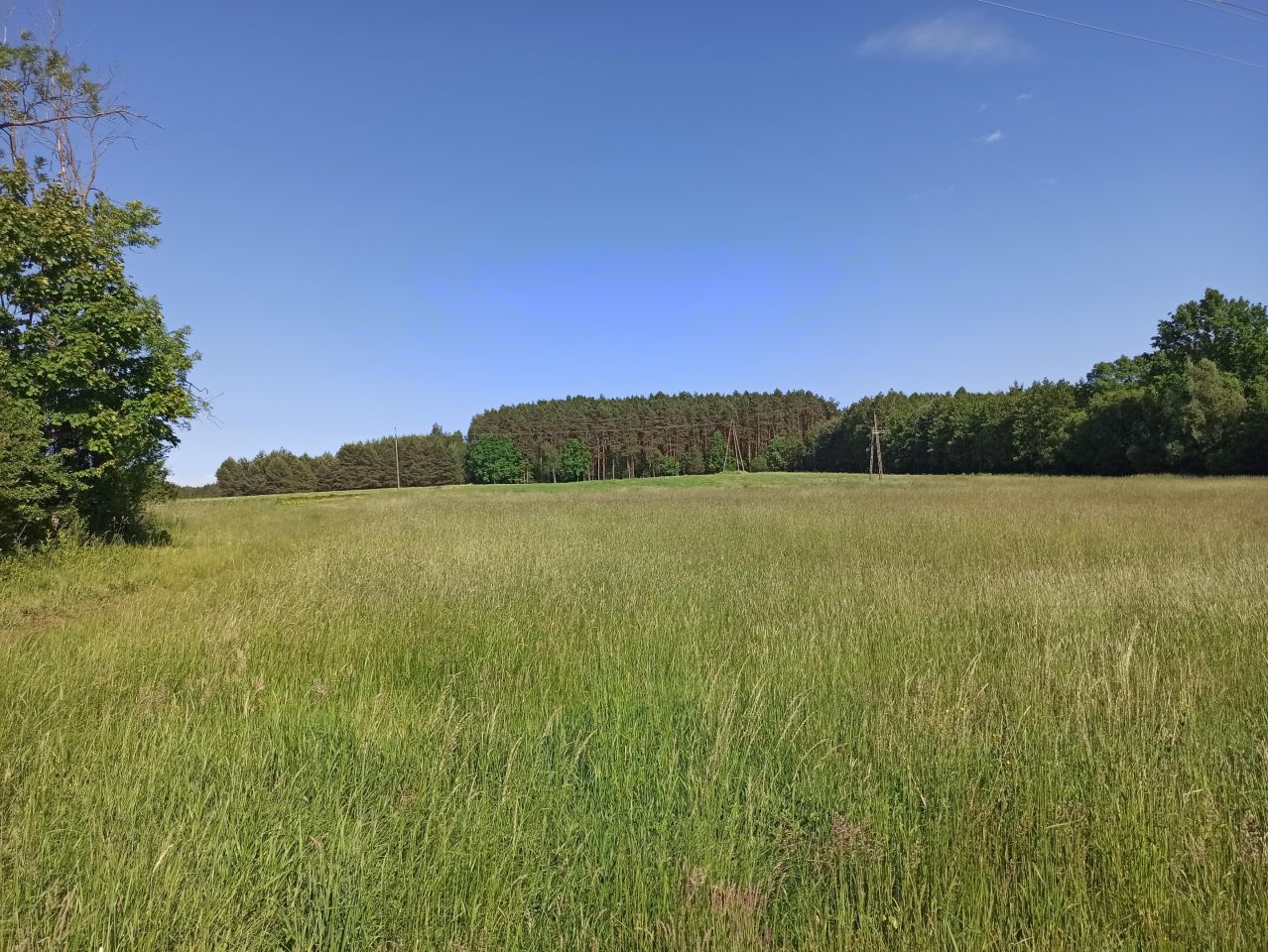 Działka siedliskowa Piaski. Zdjęcie 6