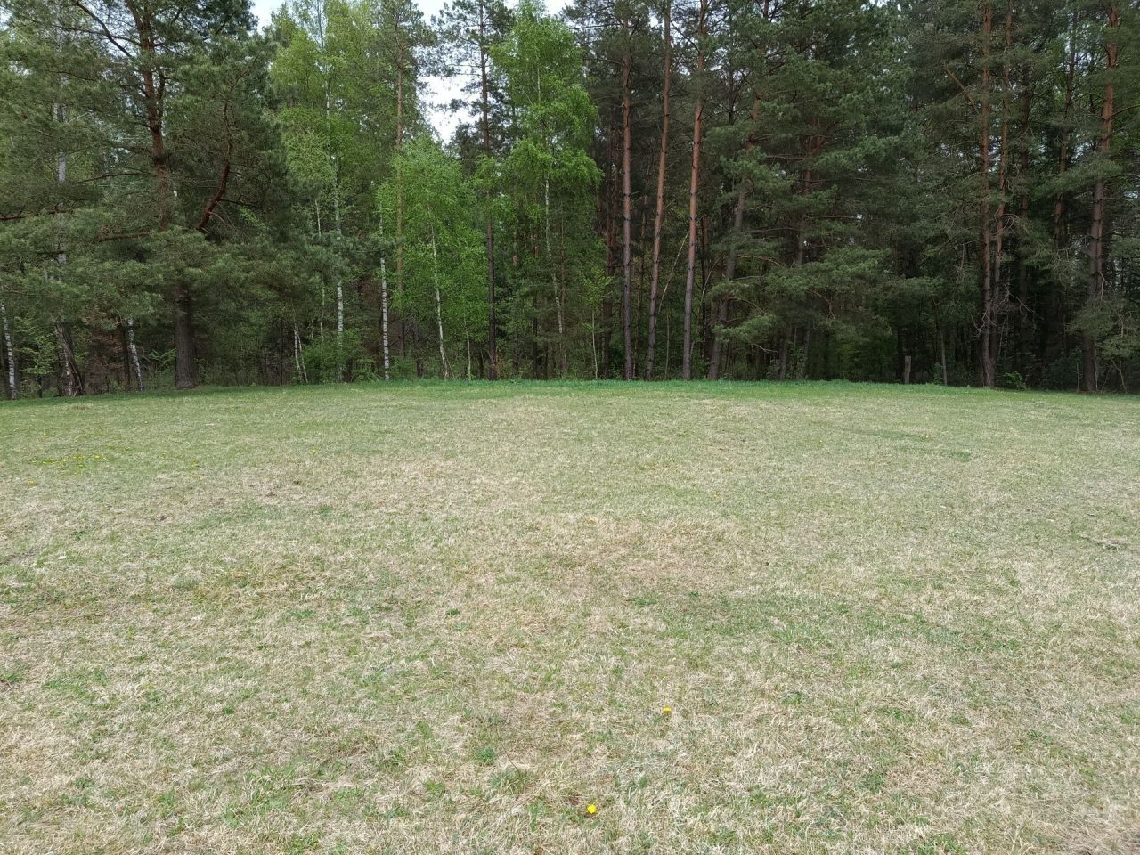 Działka rolno-budowlana Wyrandy. Zdjęcie 7