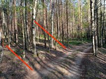 Działka leśna Kowalskie Błota Wielkie Kowalskie Błota. Zdjęcie 3