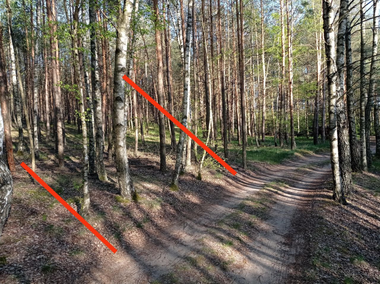 Działka leśna Kowalskie Błota Wielkie Kowalskie Błota. Zdjęcie 4