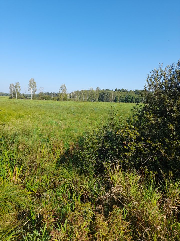 Działka rolna Garczegorze. Zdjęcie 4