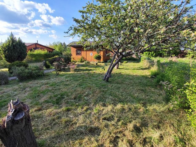 Działka rod Szczecin Bukowo. Zdjęcie 1