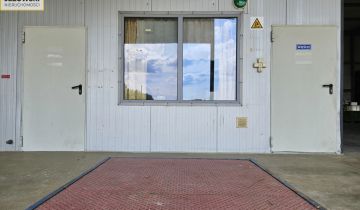 Hala/magazyn Wojciechów