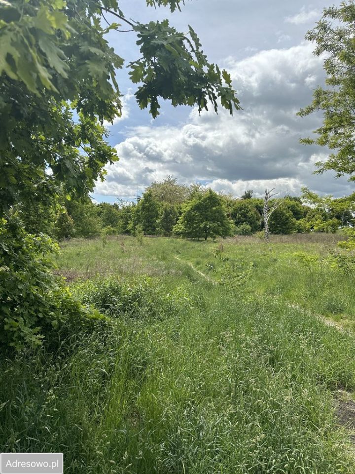 Działka budowlana Siechnice, ul. Opolska. Zdjęcie 2