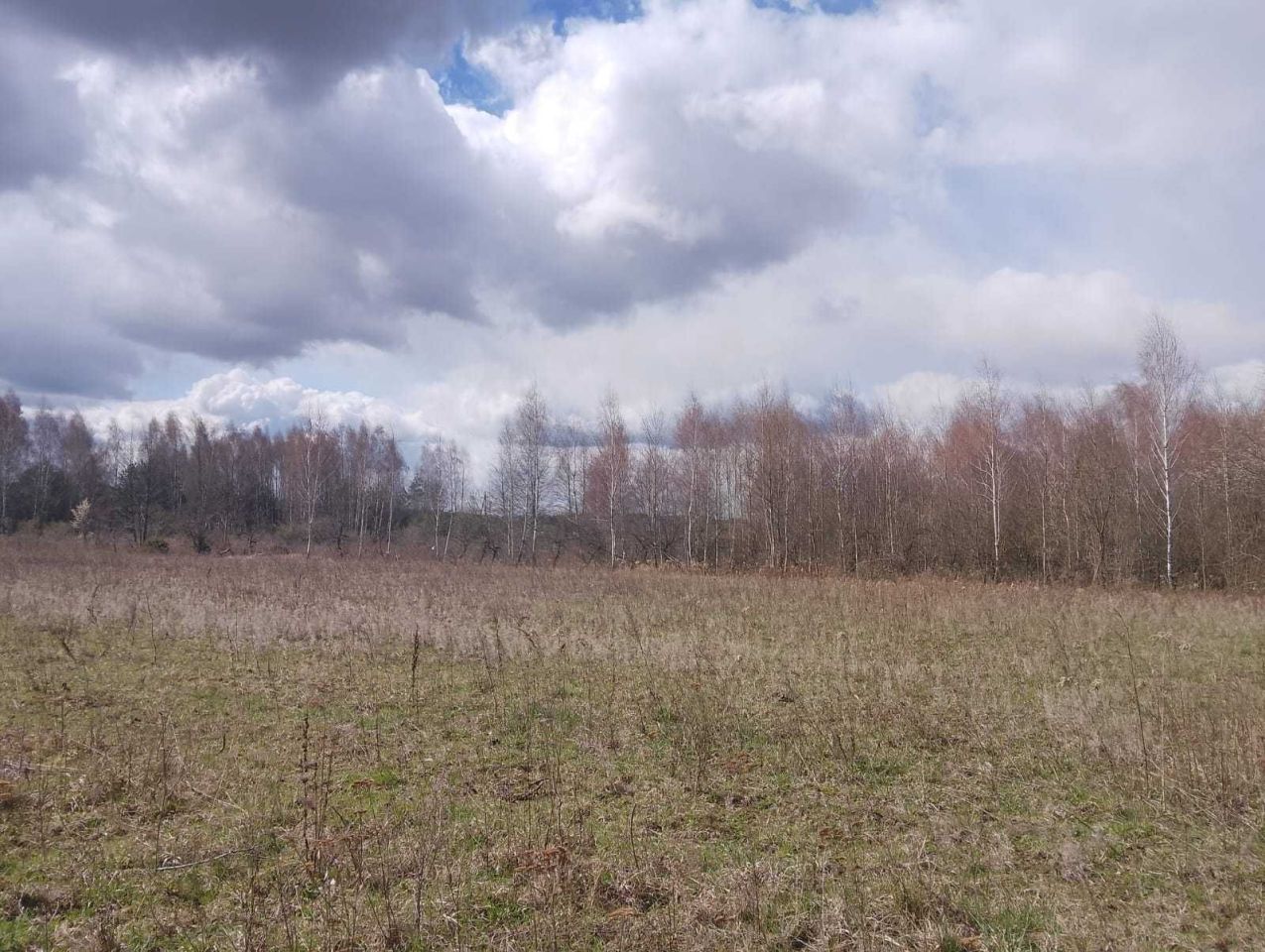 Działka rolno-budowlana Baciuty. Zdjęcie 5