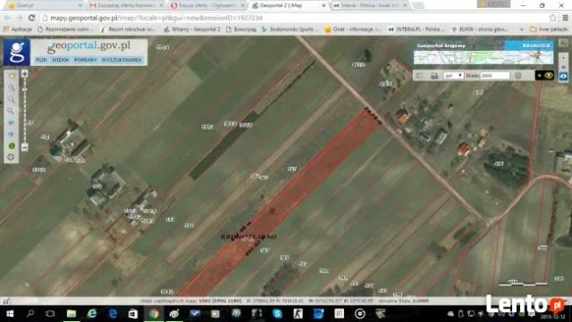 Działka rolno-budowlana Dąbrowa. Zdjęcie 1