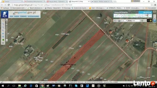 Działka rolno-budowlana Dąbrowa. Zdjęcie 1