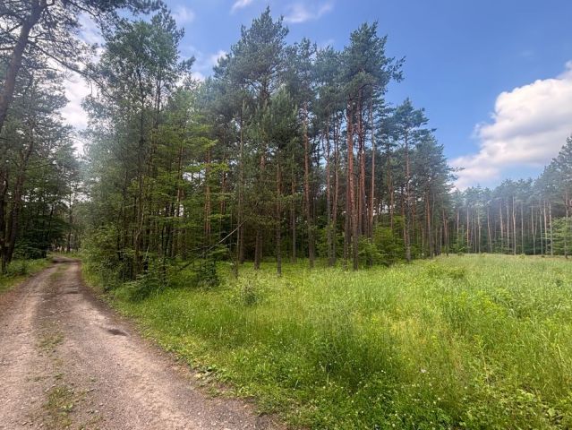 Działka budowlana Ogrodzieniec. Zdjęcie 1