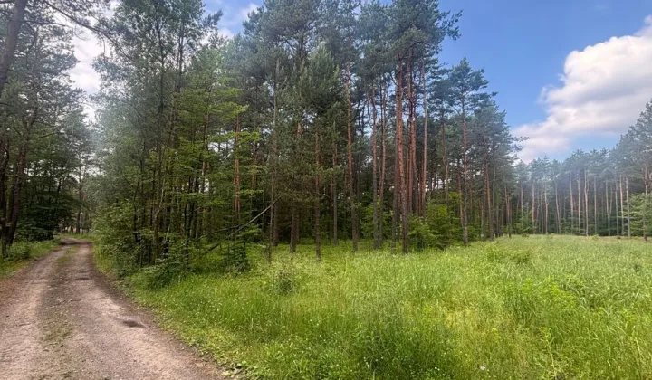 Działka budowlana Ogrodzieniec