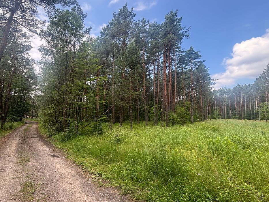 Działka budowlana Ogrodzieniec. Zdjęcie 1