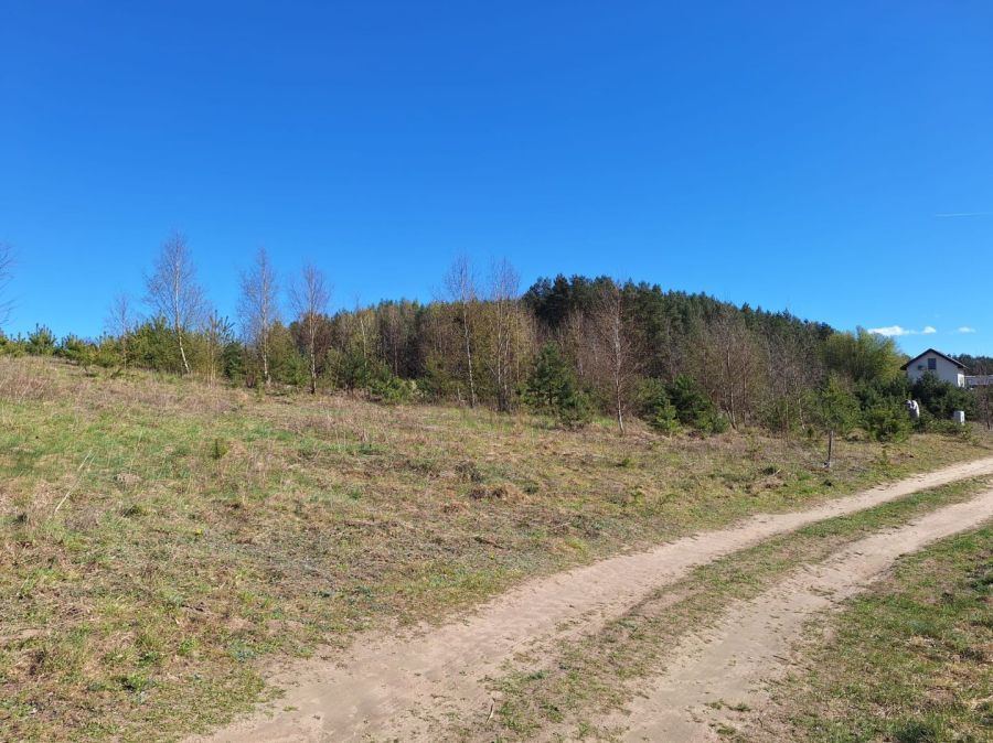 Działka rolna Lipy. Zdjęcie 4