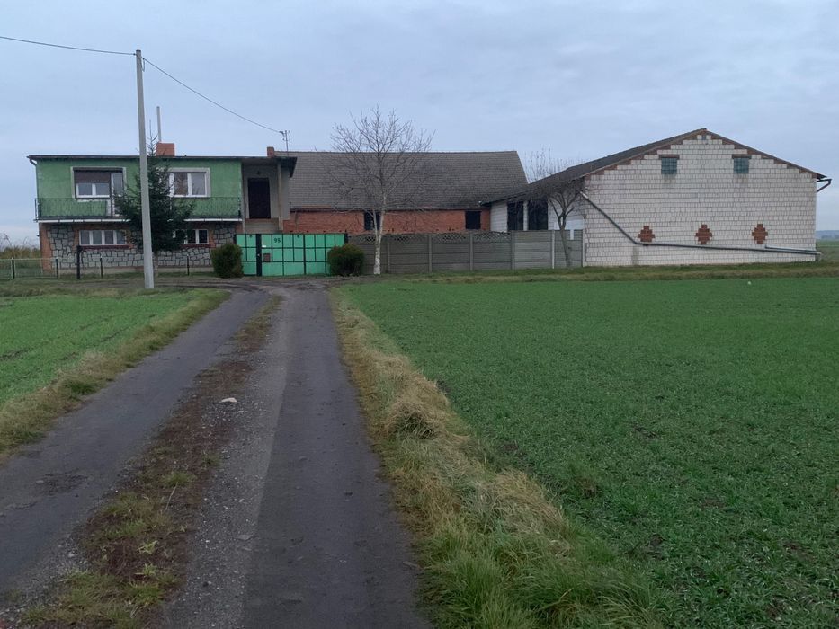 siedlisko Domachowo. Zdjęcie 2