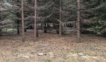 Działka budowlana Pasikonie