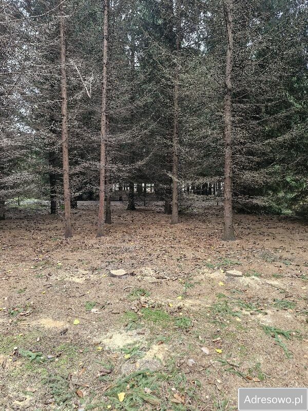 Działka budowlana Pasikonie, ul. Powozowa