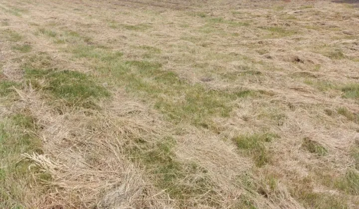 Działka budowlana Głogówko
