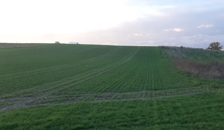 Działka budowlana Malbork, ul. Bajeczna