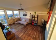 Mieszkanie 1-pokojowe Łódź Śródmieście, ul. Wierzbowa