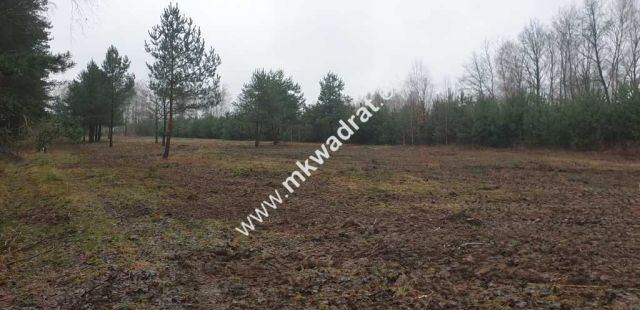 Działka budowlana Mroków. Zdjęcie 3