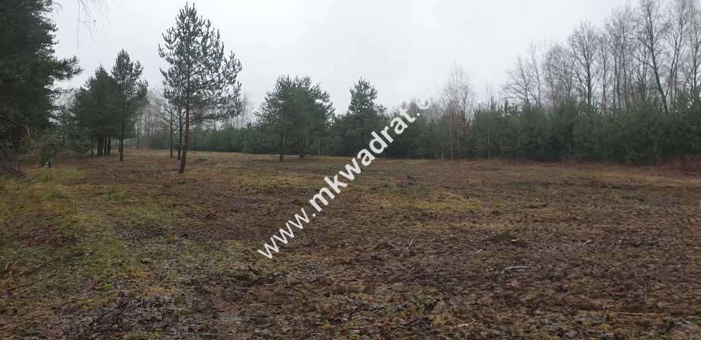 Działka budowlana Mroków. Zdjęcie 3