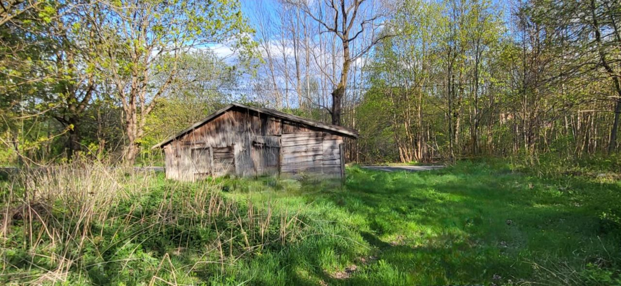 siedlisko Boguszewo, Boguszewo. Zdjęcie 5