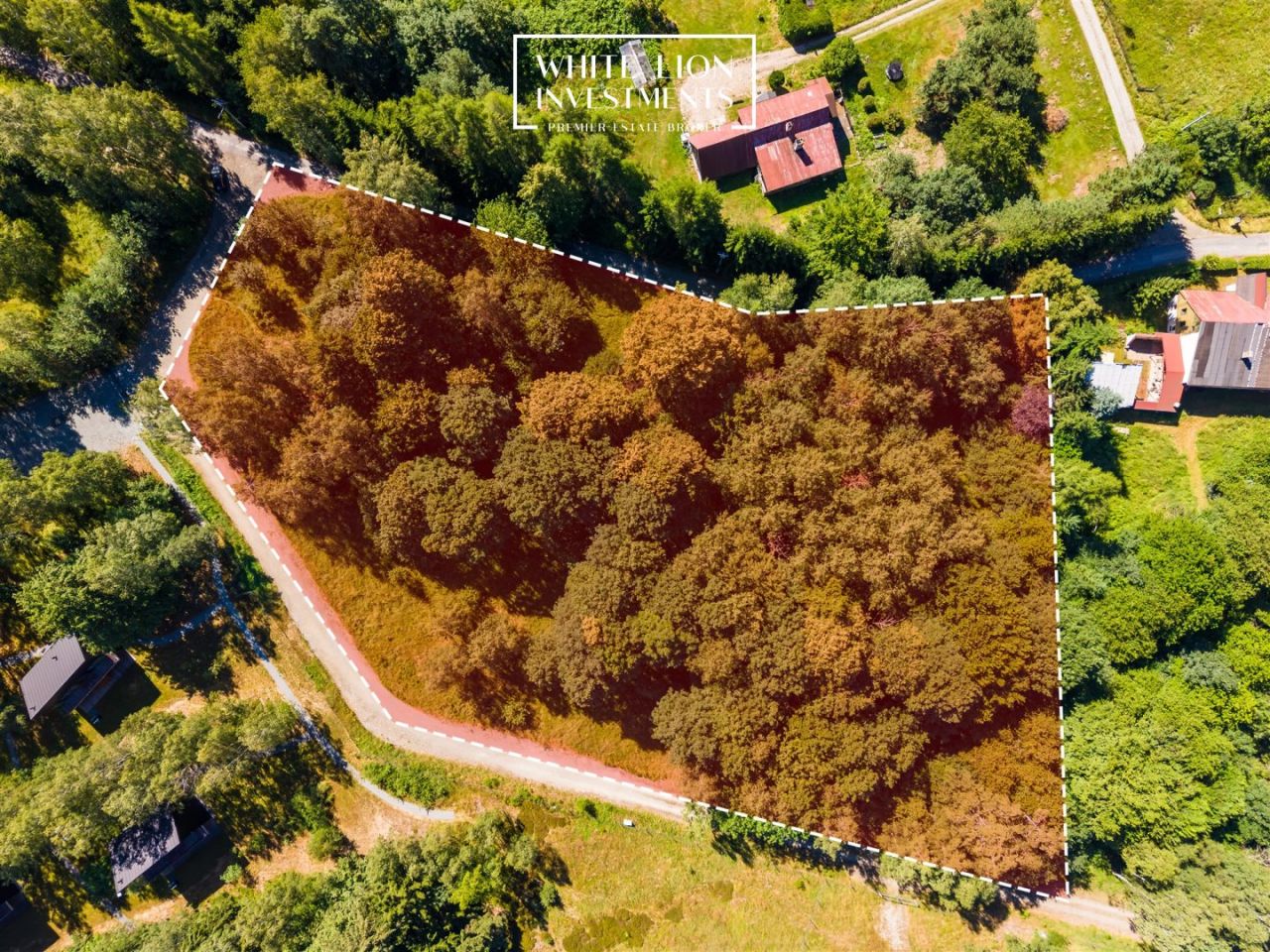 Działka inwestycyjna Studzienno. Zdjęcie 3