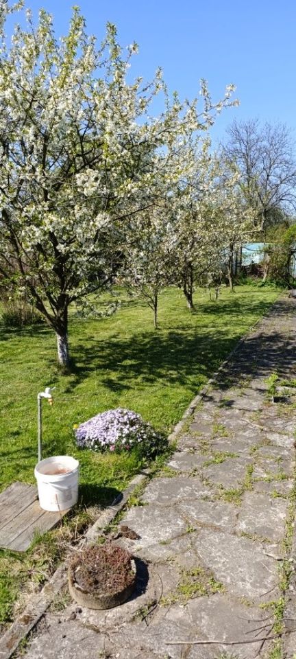 Działka rod Gliwice Sośnica, ul. Królewskiej Tamy. Zdjęcie 7